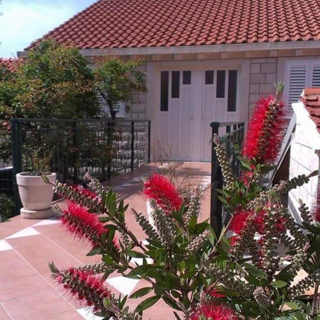 Apartments Baltazar ดูบรอฟนิก ภายนอก รูปภาพ